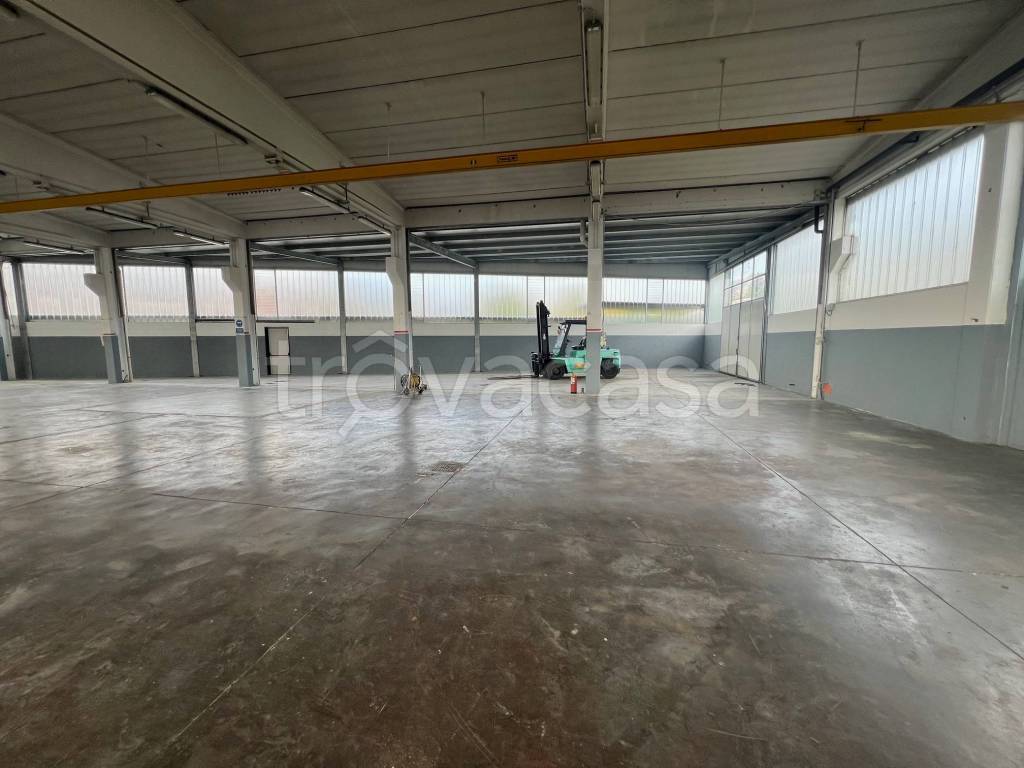 immagine annuncio 9 di 13