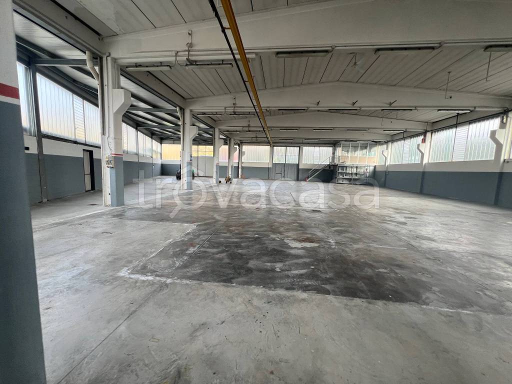 immagine annuncio 2 di 13