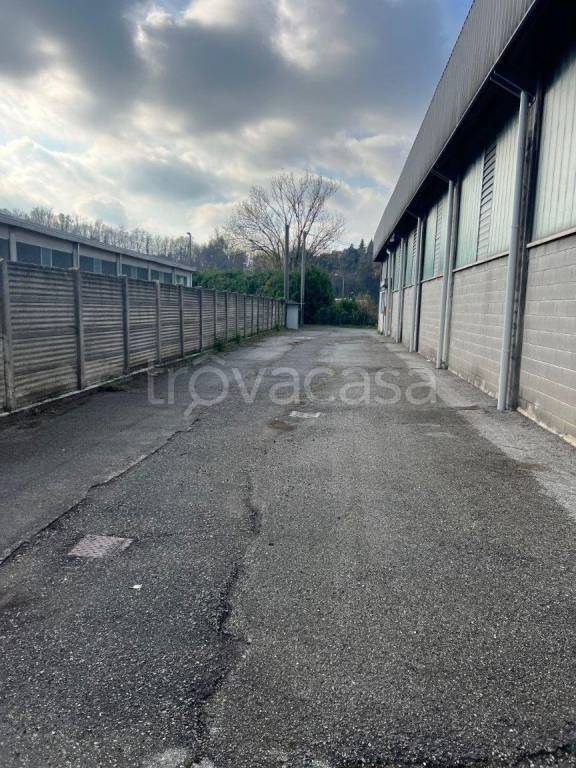 immagine annuncio 5 di 13