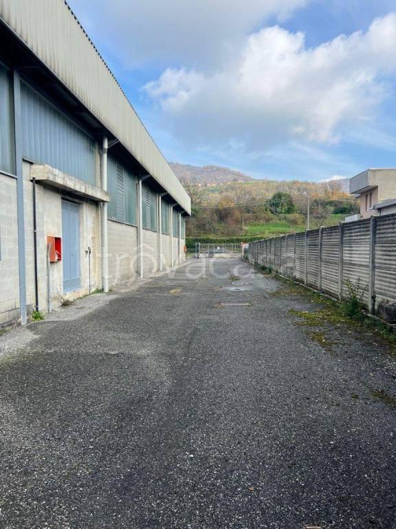 immagine annuncio 6 di 13