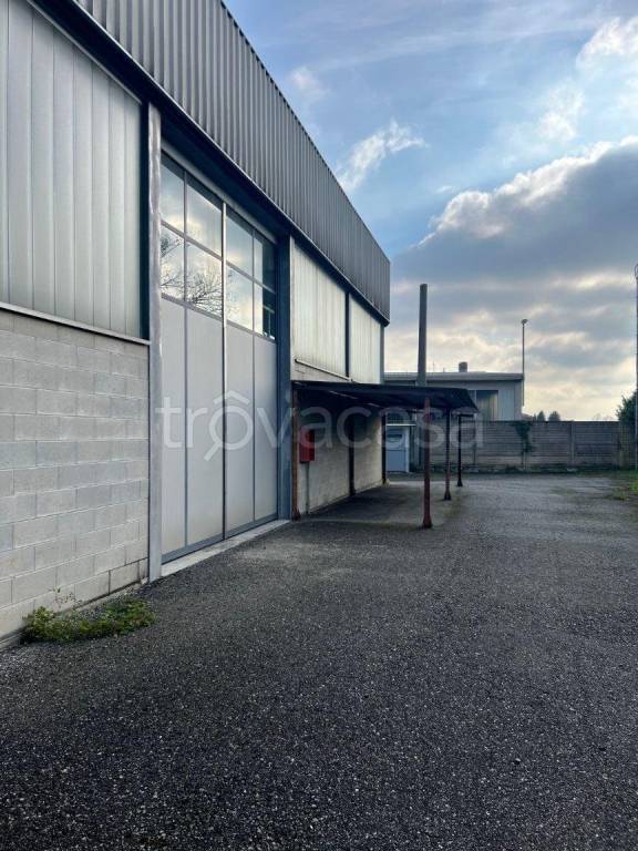 immagine annuncio 7 di 13