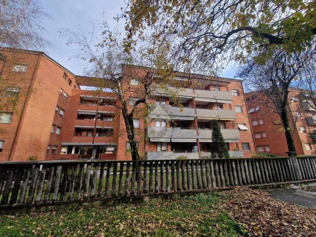 immagine annuncio 7 di 15