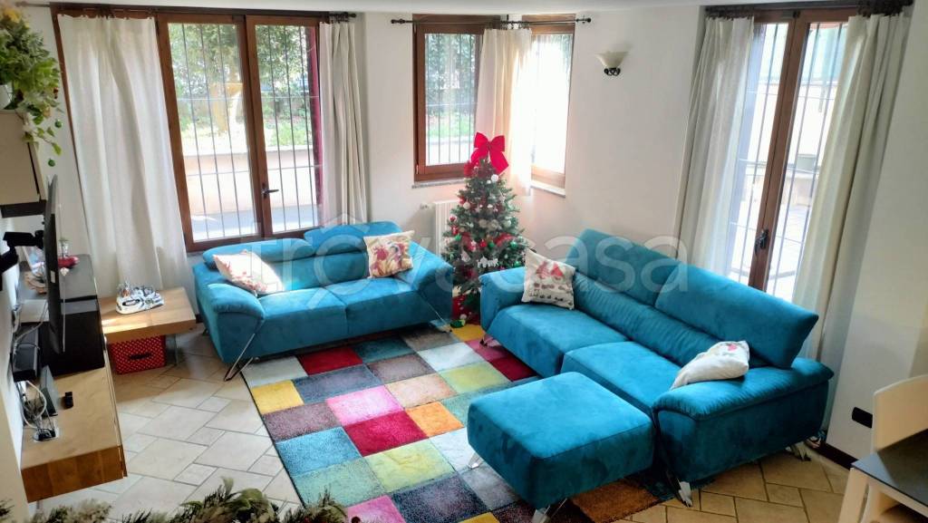 immagine annuncio 12 di 15