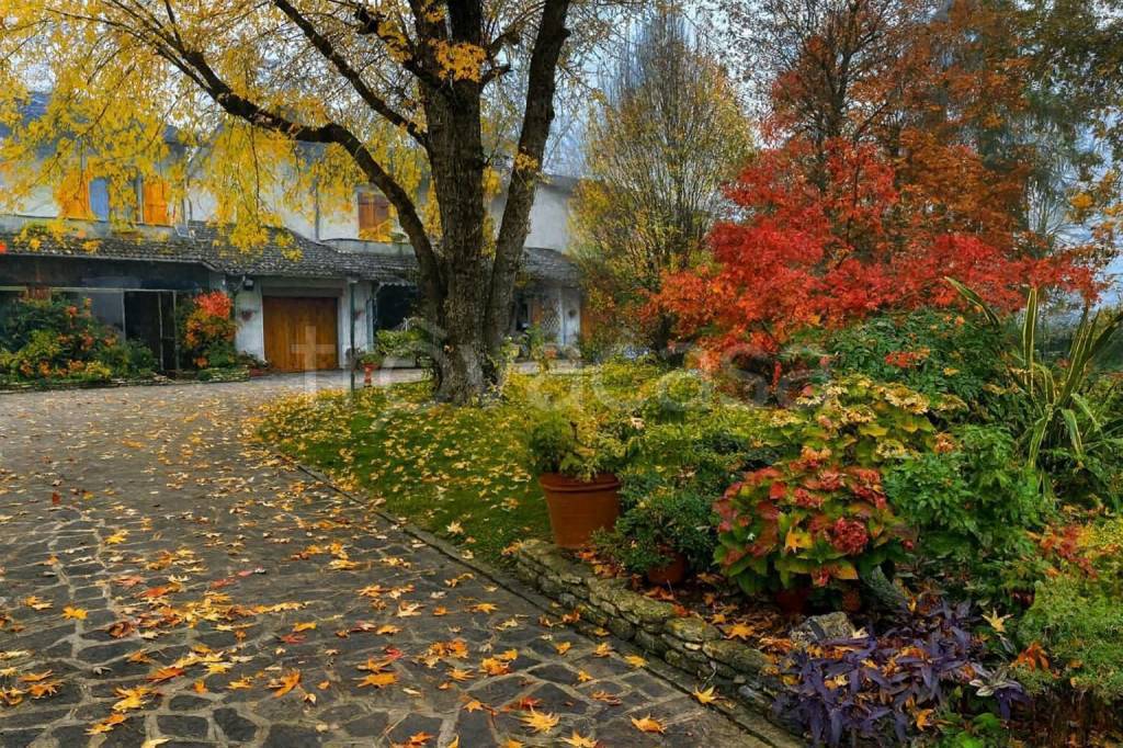 immagine annuncio 2 di 12