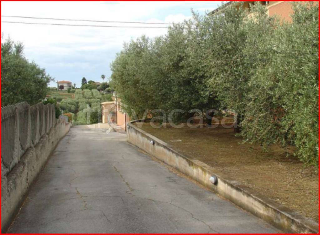 immagine annuncio 2 di 12