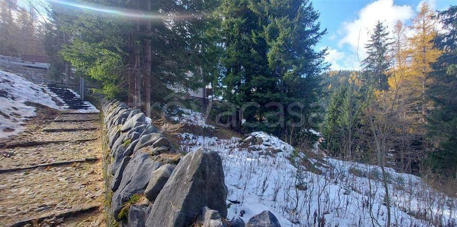 immagine annuncio 2 di 11