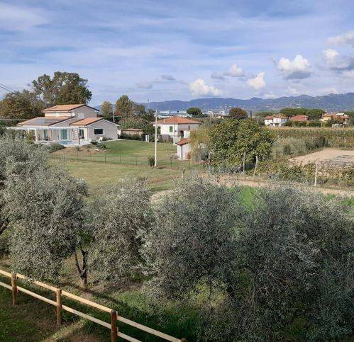 immagine annuncio 8 di 14