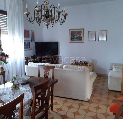 immagine annuncio 11 di 14