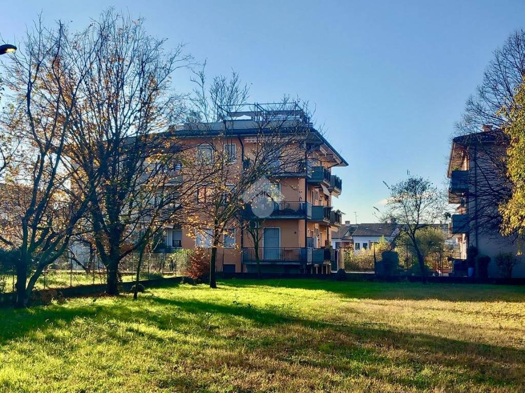 immagine annuncio 1 di 14