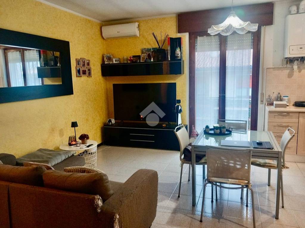 immagine annuncio 3 di 14