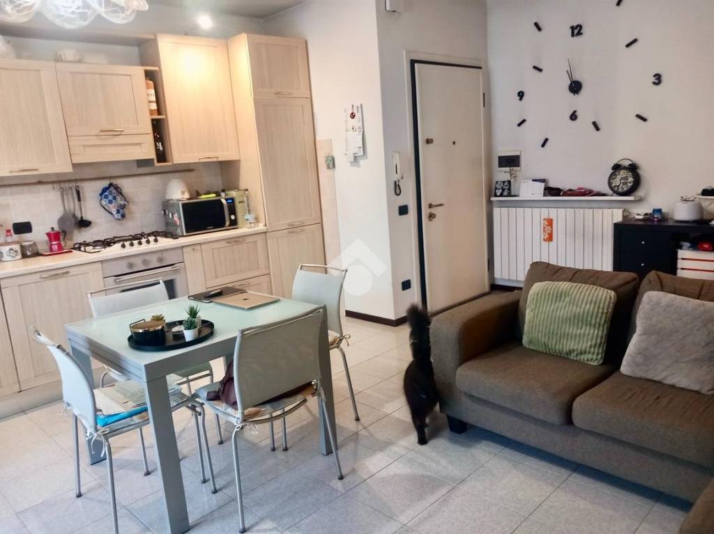 immagine annuncio 4 di 14