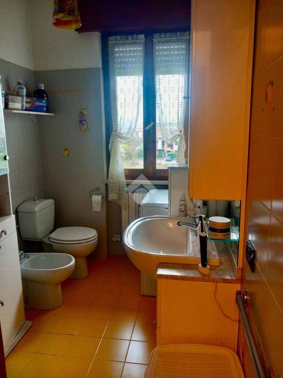 immagine annuncio 10 di 14