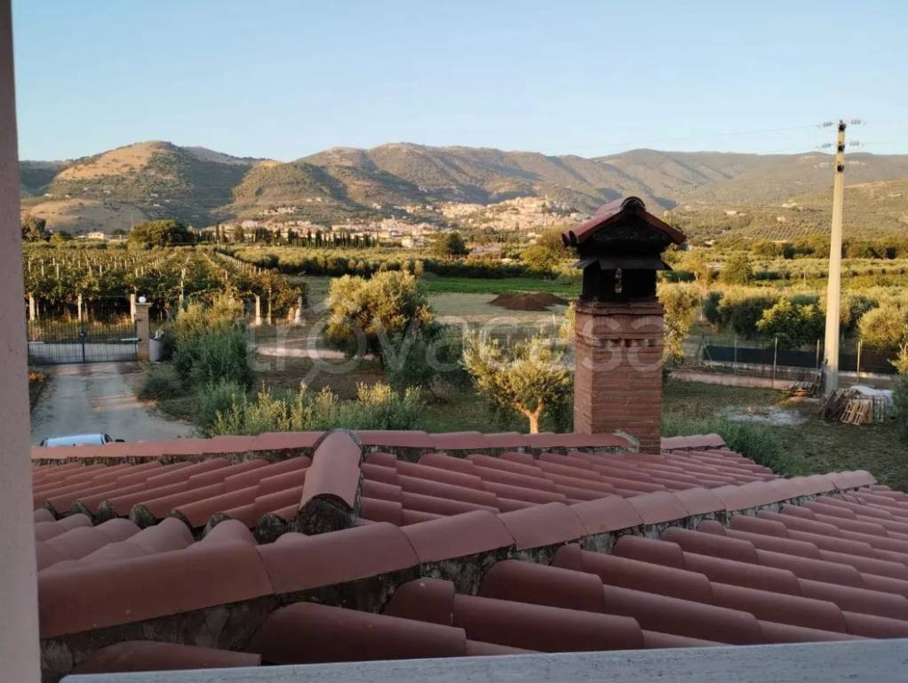 immagine annuncio 2 di 8