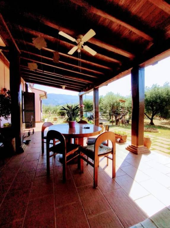 immagine annuncio 4 di 8