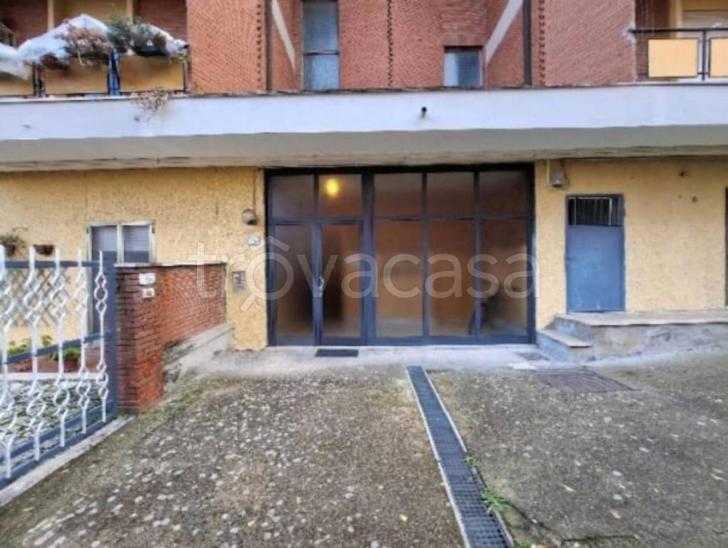 immagine annuncio 2 di 11