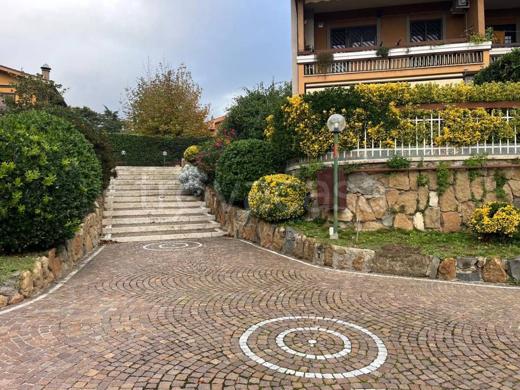 immagine annuncio 1 di 14