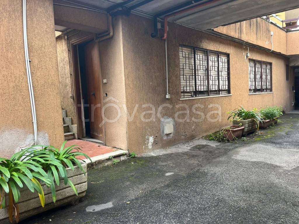 immagine annuncio 3 di 14