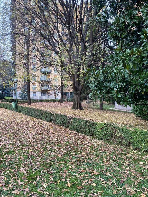 immagine annuncio 8 di 13