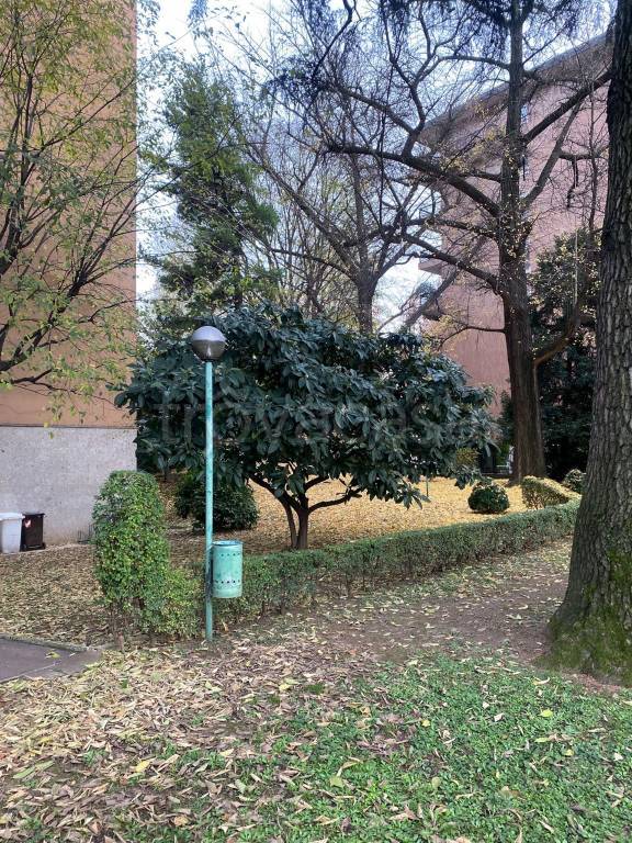 immagine annuncio 5 di 13