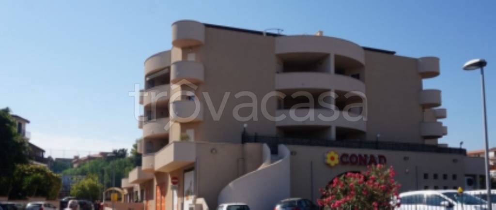 immagine annuncio 2 di 12