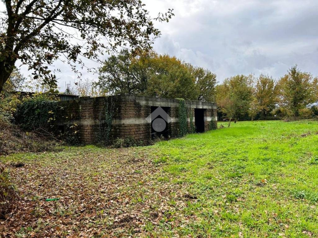 immagine annuncio 6 di 13