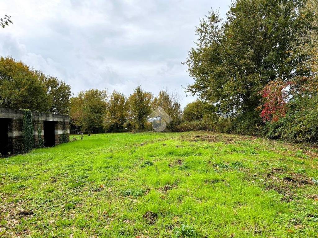 immagine annuncio 7 di 13