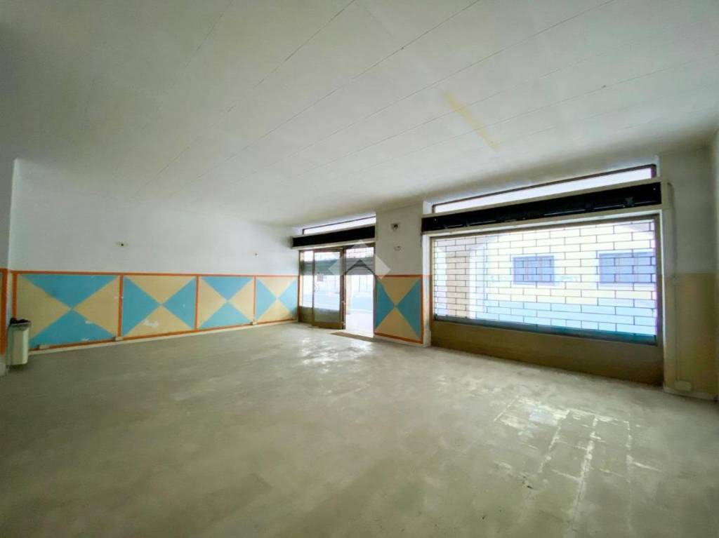 immagine annuncio 3 di 14