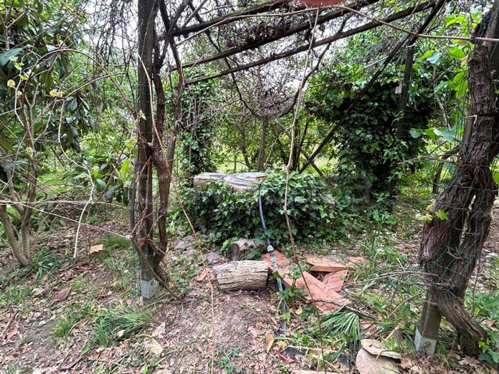 immagine annuncio 8 di 13