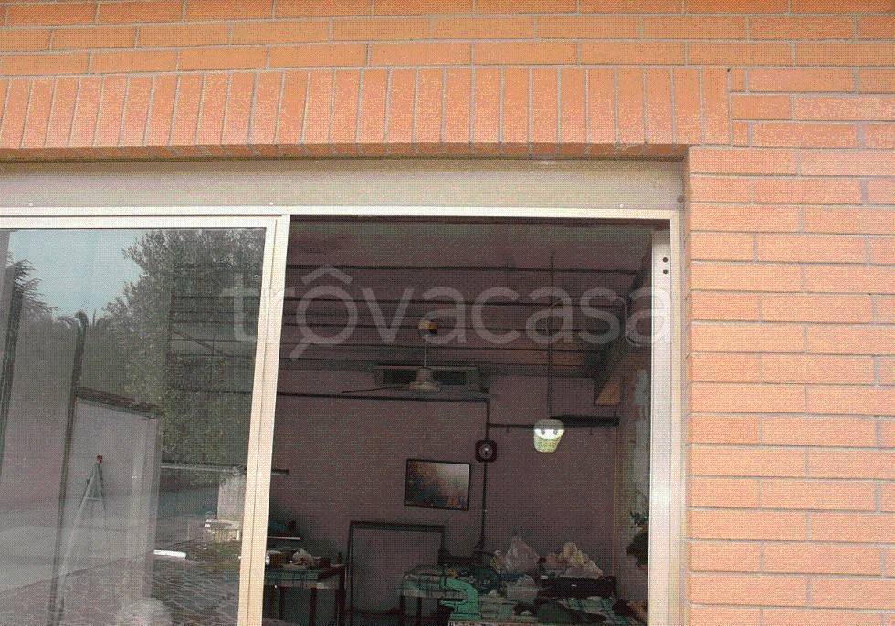 immagine annuncio 3 di 11