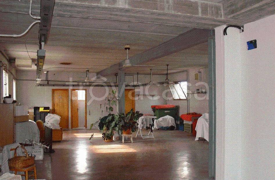 immagine annuncio 5 di 11