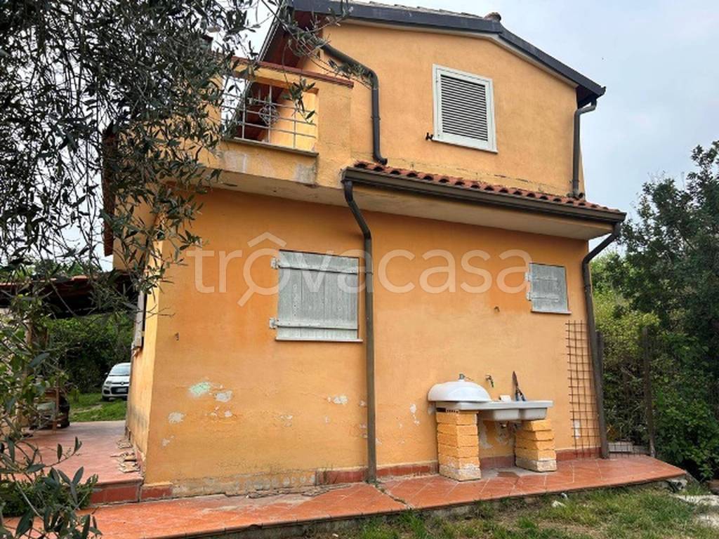 immagine annuncio 11 di 13