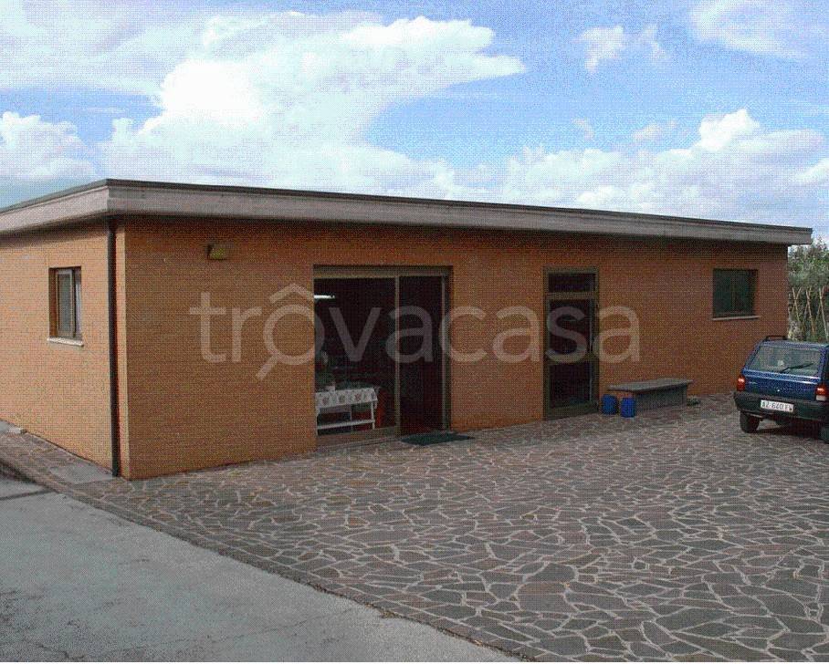 immagine annuncio 8 di 11