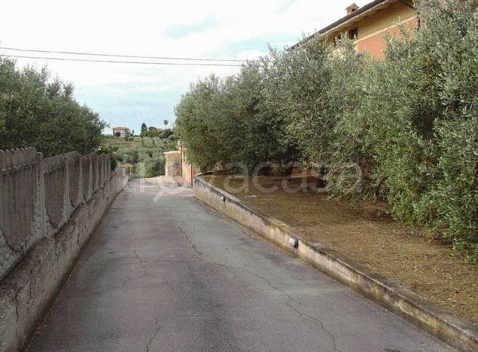 immagine annuncio 9 di 11