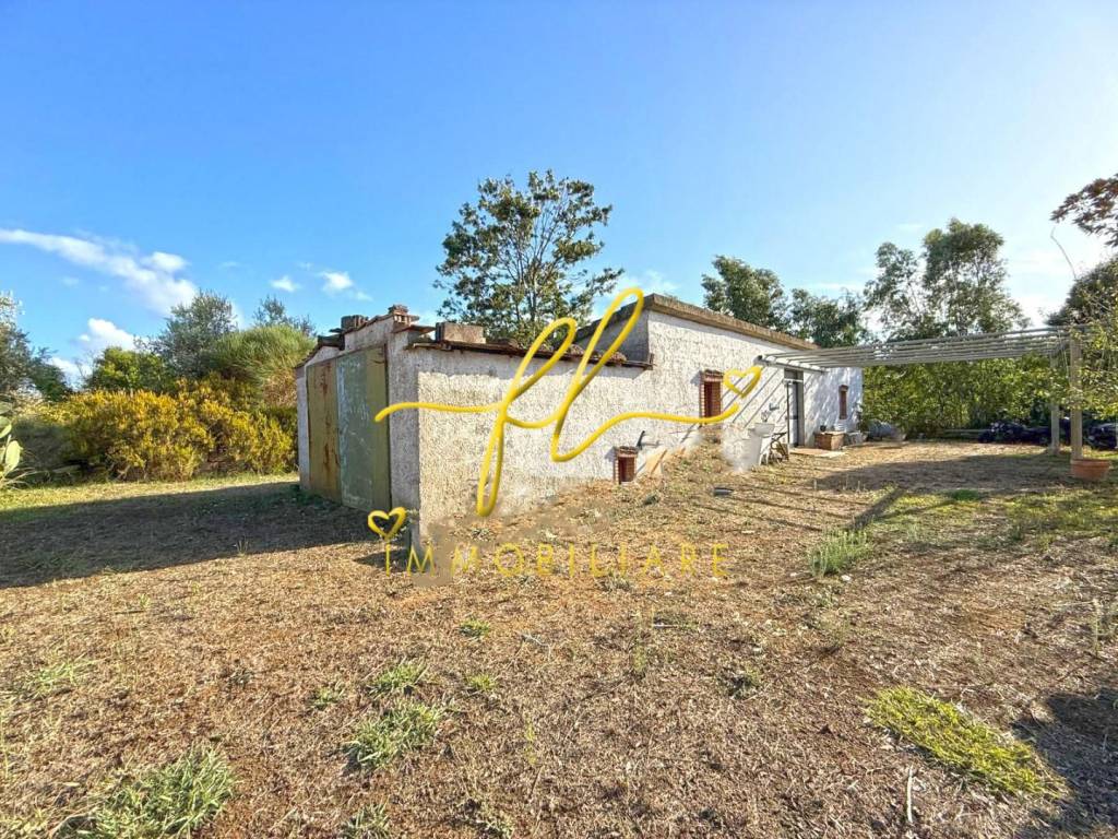 immagine annuncio 6 di 7