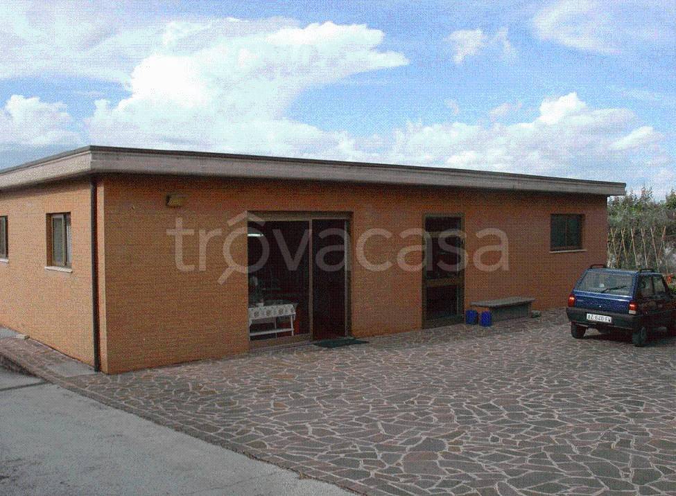 immagine annuncio 2 di 11