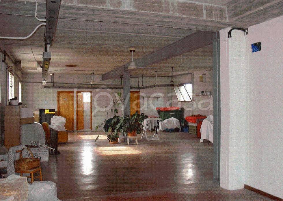 immagine annuncio 5 di 11