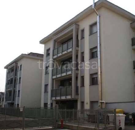 immagine annuncio 5 di 14