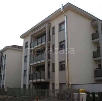 immagine annuncio 7 di 14