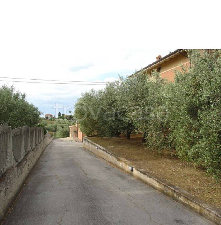 immagine annuncio 1 di 9