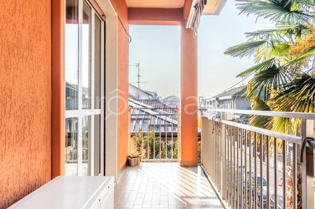 immagine annuncio 4 di 15