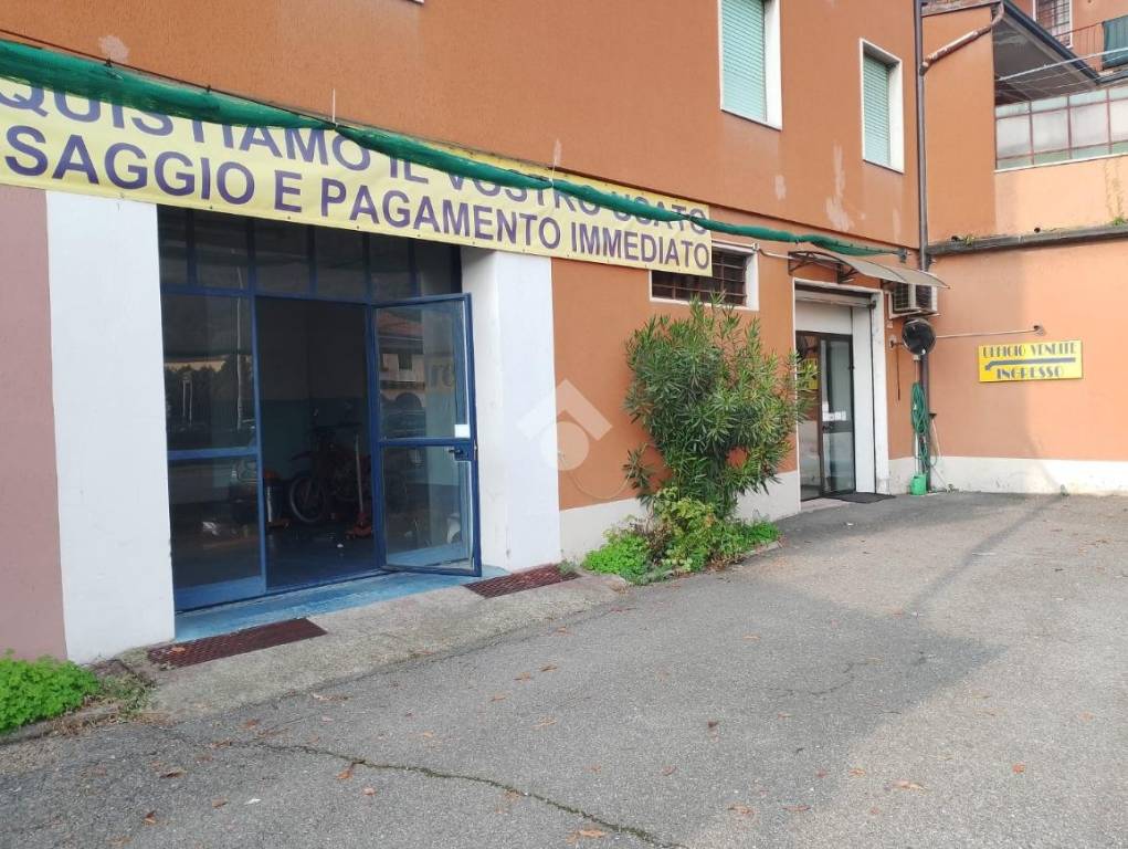 immagine annuncio 1 di 15