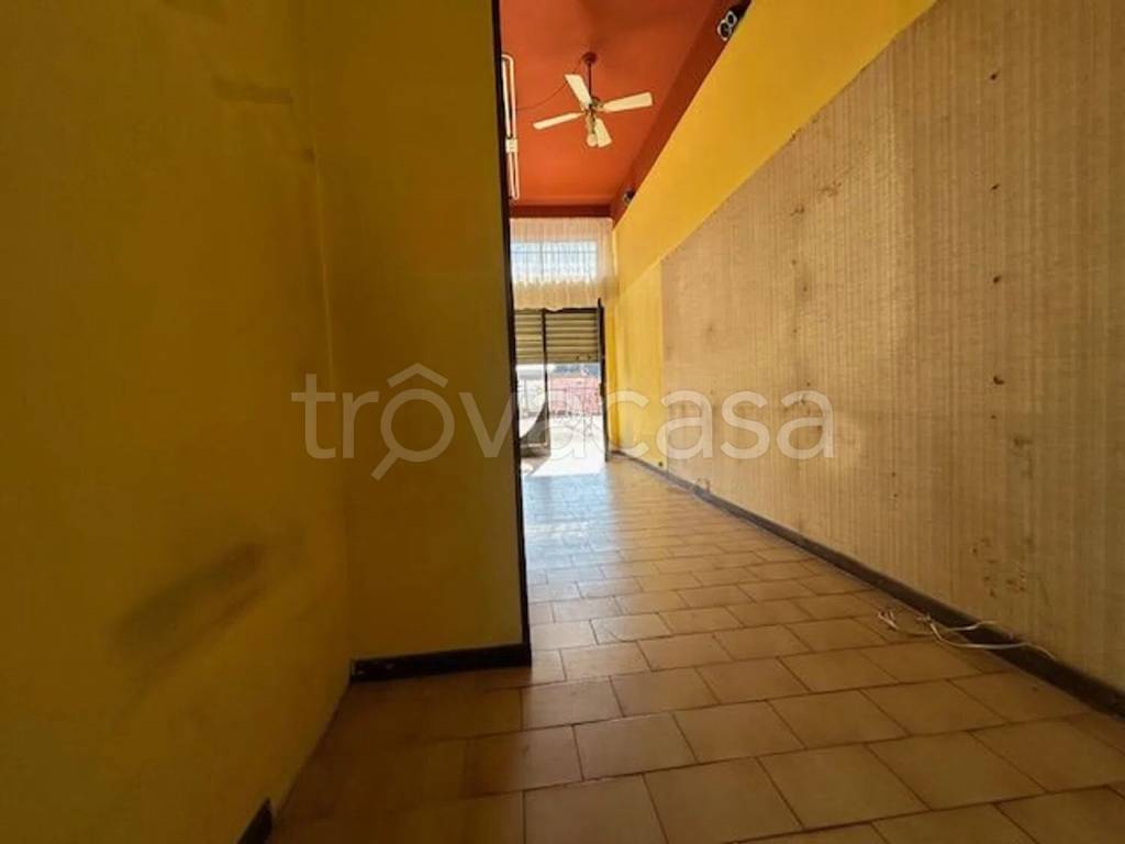 immagine annuncio 9 di 13