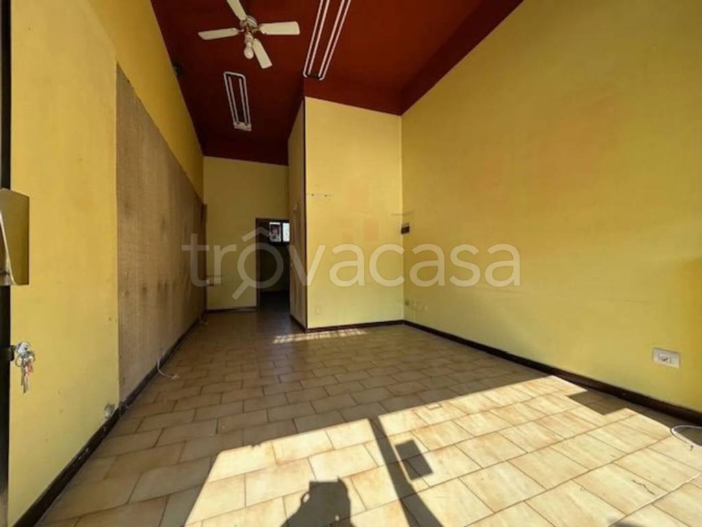 immagine annuncio 12 di 13