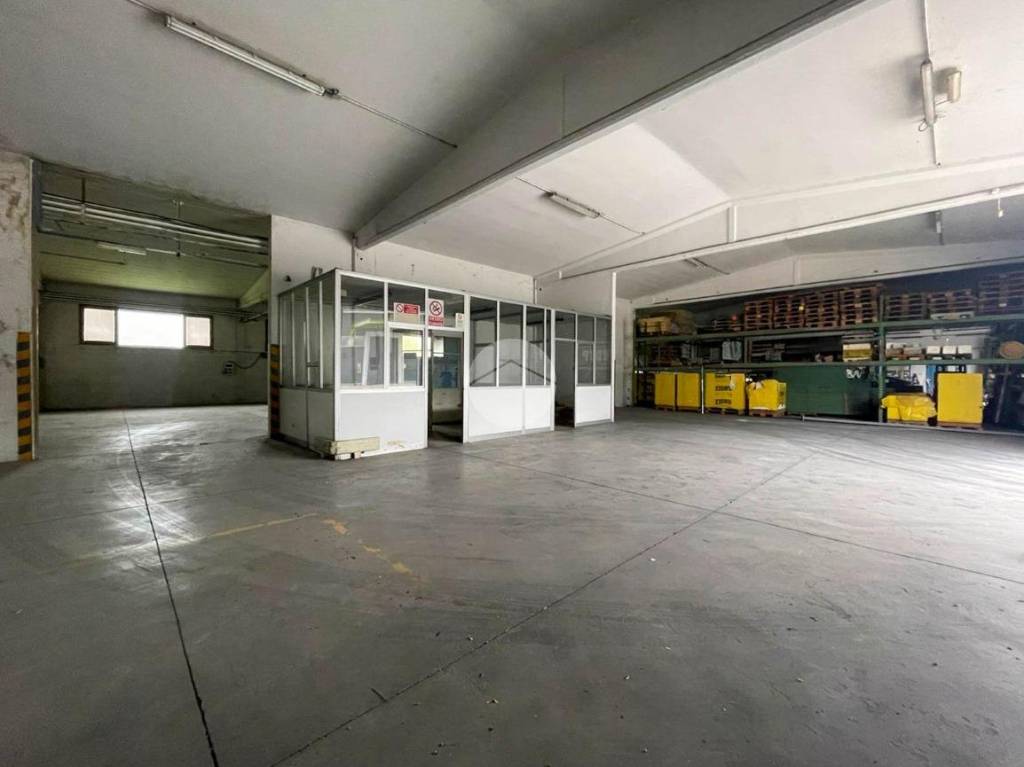 immagine annuncio 10 di 15