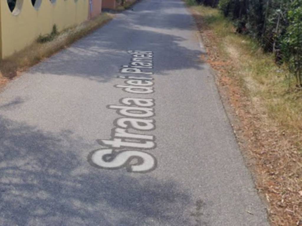 immagine annuncio 6 di 15