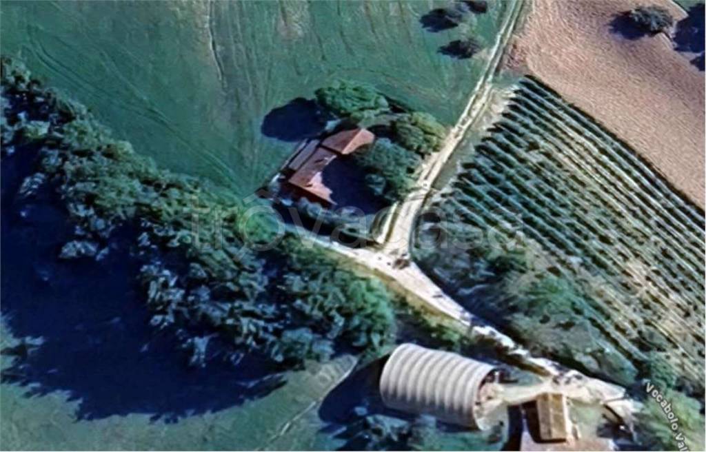 immagine annuncio 5 di 11