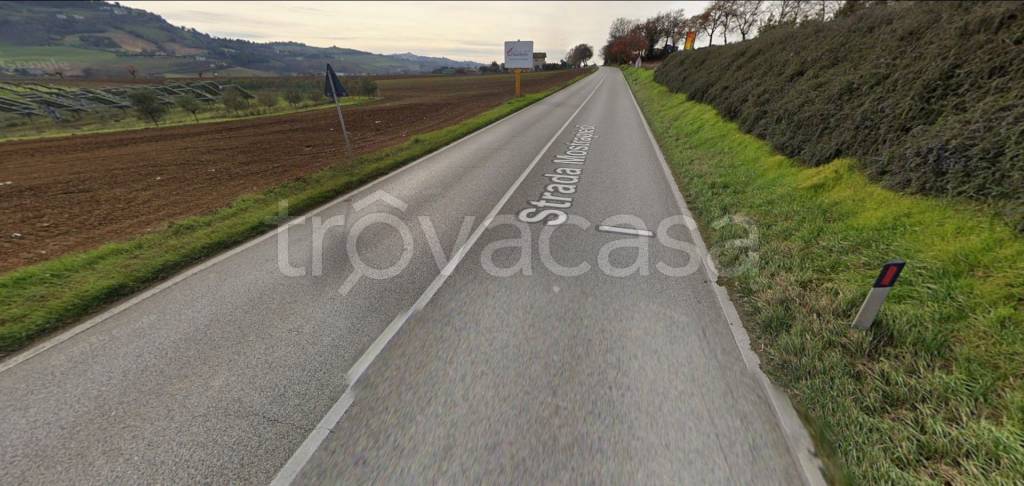 immagine annuncio 3 di 8