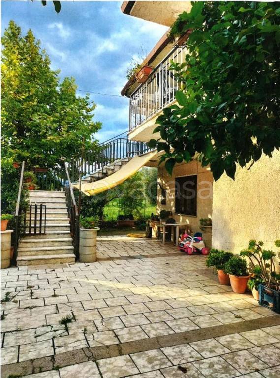 immagine annuncio 11 di 13