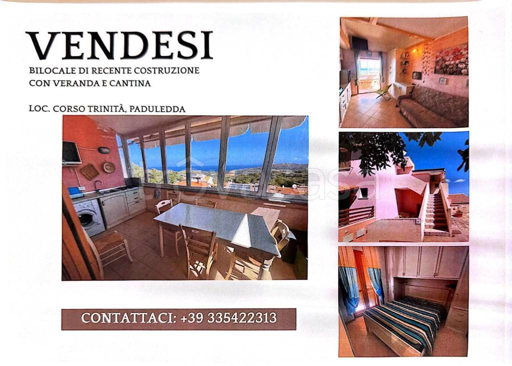 immagine annuncio 9 di 11