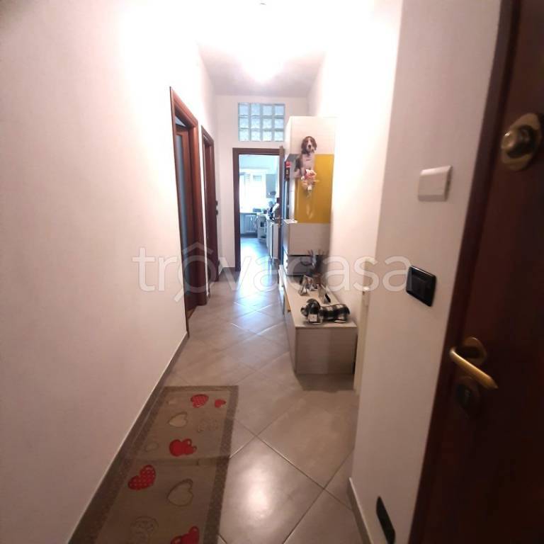 immagine annuncio 3 di 11